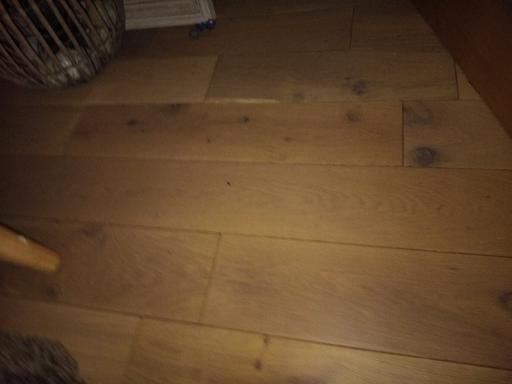 Buy & Sell Carter Knowle Sheffield - Photos for oak flooring