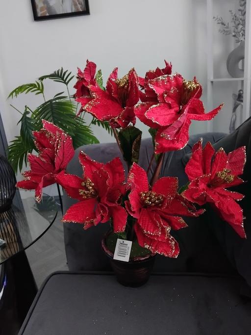 Buy & Sell Ormesby Middlesbrough - Photos for xmas poinsettia artifical plant