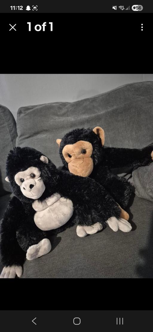 Buy & Sell Eccleshill Blackburn with Darwen - Photos for 2 monkey teddies