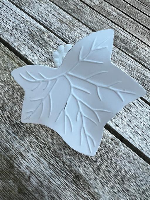 Buy & Sell Easington Lane Sunderland - Photos for Garden Clip Ivy Leaf