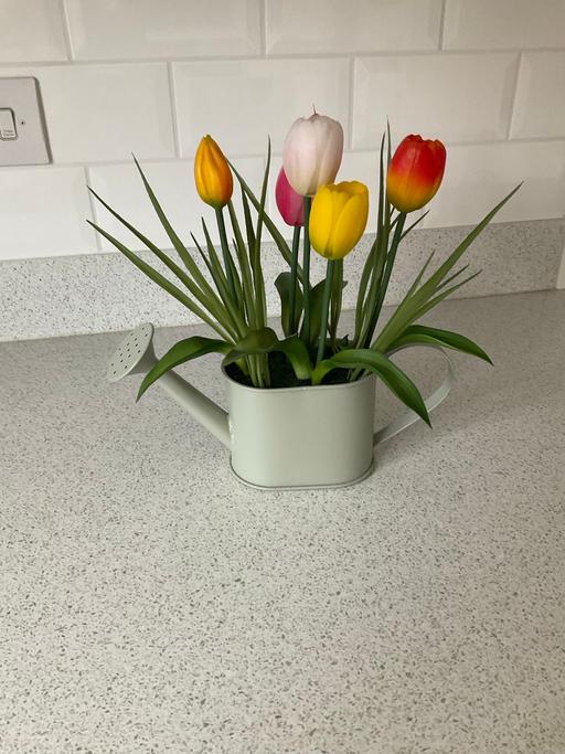 Buy & Sell Telford Way Industrial Estate North Northamptonshire - Photos for Next artificial flowers in metal watering can
