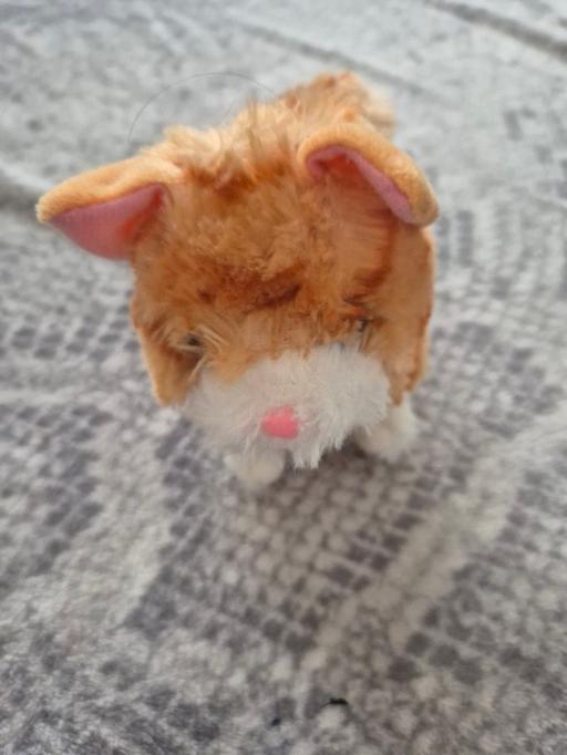 Buy & Sell Allenton Derby - Photos for Kids Toy walking cat working