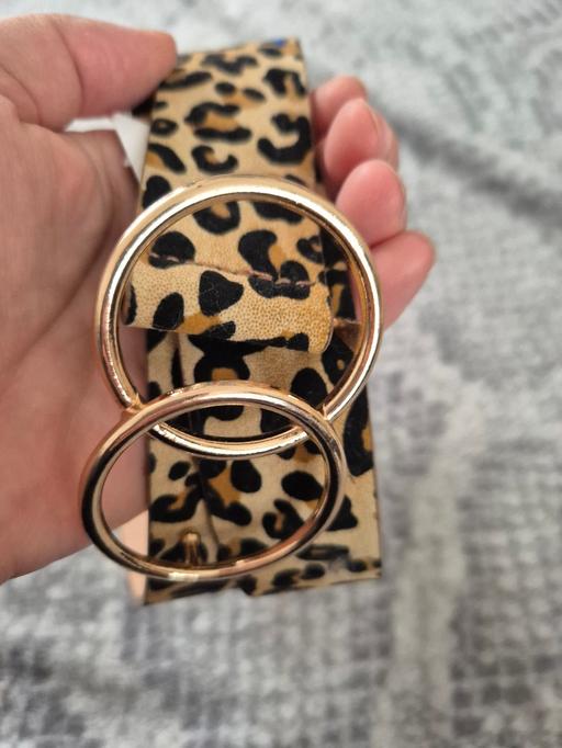 Buy & Sell Allenton Derby - Photos for Women Fashion Leopard print belt 39 