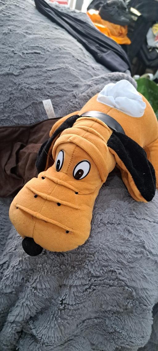 Buy & Sell Sutton Coldfield Birmingham - Photos for “Plush Dog Sofa Armrest Organiser