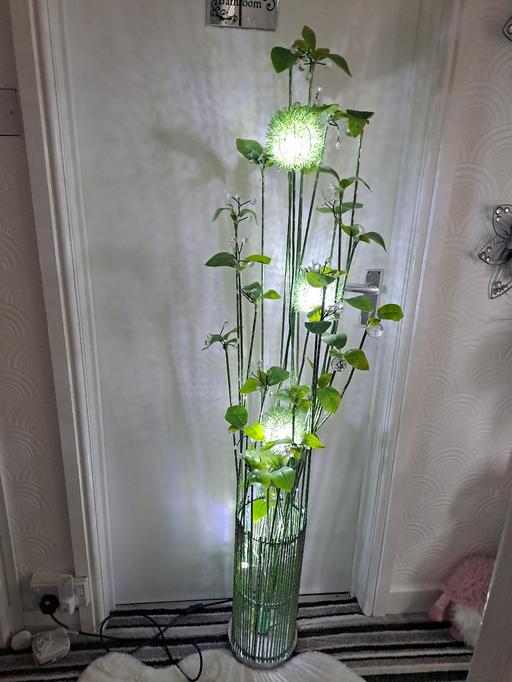 Buy & Sell Gleadless Valley Sheffield - Photos for lovely plants looking tall lamp