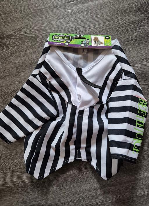 Buy & Sell Crumpsall Manchester - Photos for new Halloween Dog Beetle Juice Costume