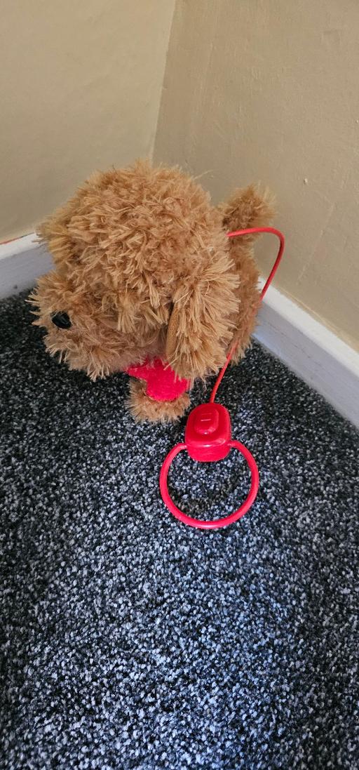 Buy & Sell Fordbridge Solihull - Photos for Waffle the Dog