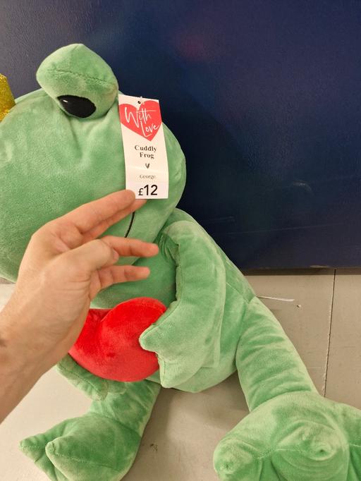 Buy & Sell Greasbrough Rotherham - Photos for massive xl frog