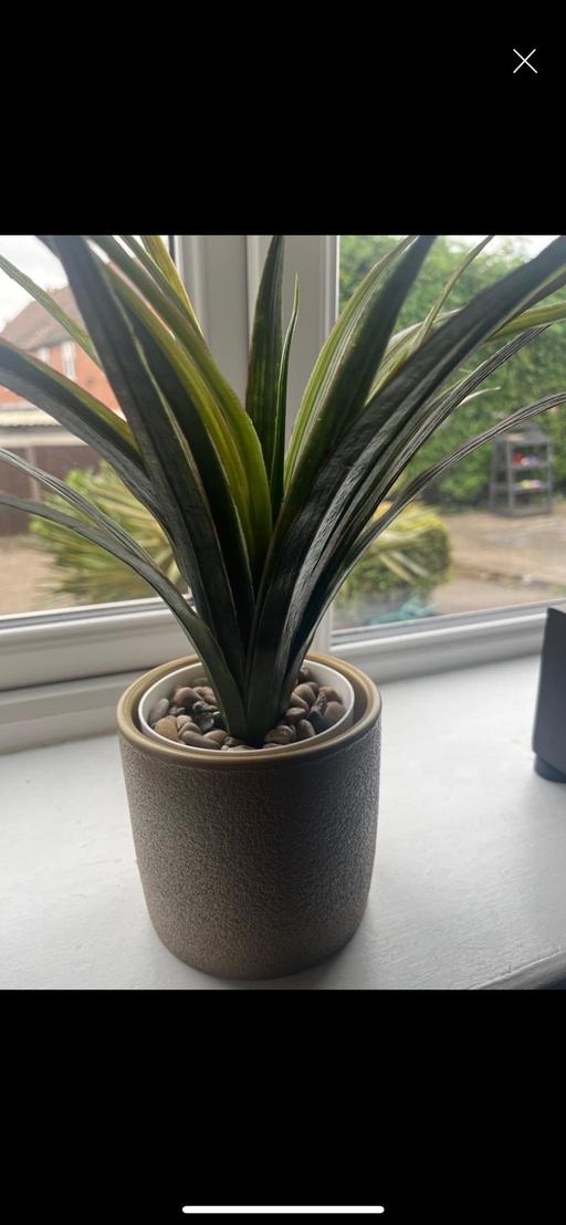Buy & Sell Conisbrough Doncaster - Photos for Artificial palm and gold pot