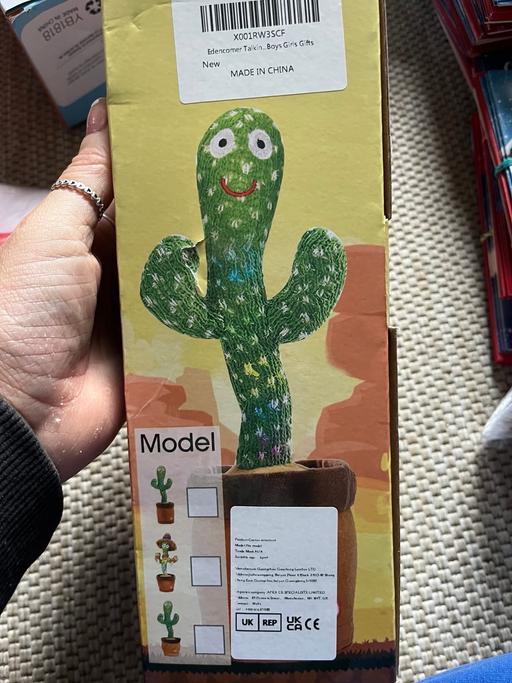 Buy & Sell Wednesfield Wolverhampton - Photos for Dancing cactus