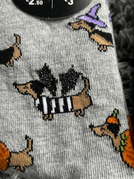 Buy & Sell Broadgreen Knowsley - Photos for Sausage dog Halloween socks. Ladies. One size