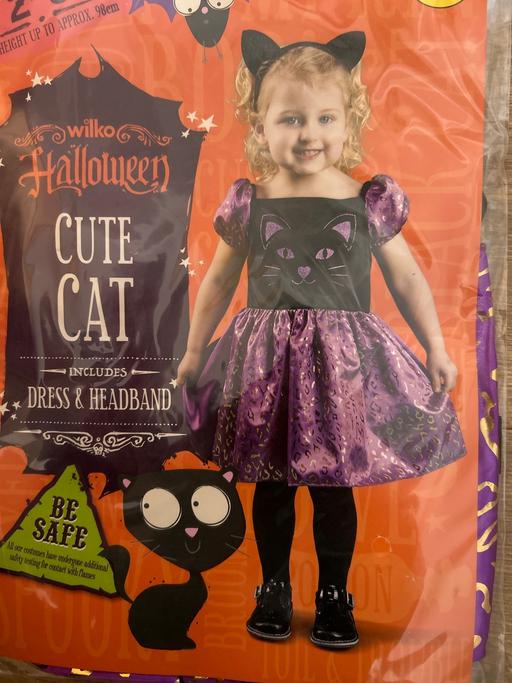 Buy & Sell Broadgreen Knowsley - Photos for Halloween cat. Age 6-12m or 2-3y. New