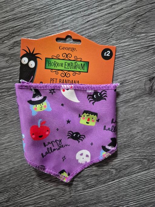 Buy & Sell Crumpsall Manchester - Photos for new Halloween Pet Bandana