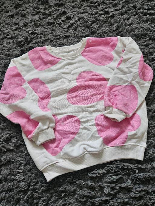 Buy & Sell Weston Point Halton - Photos for Age 4-5 ZARA sweater