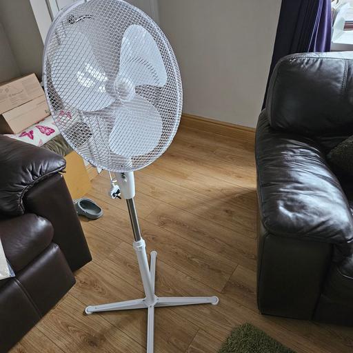 Buy & Sell Worksop Bassetlaw - Photos for oscillating fan