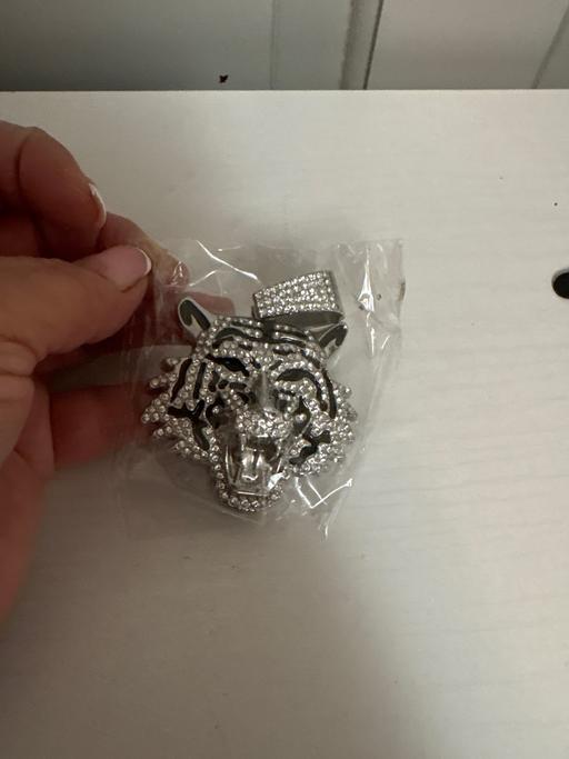 Buy & Sell Duckmanton Chesterfield - Photos for Necklace tiger pendant
