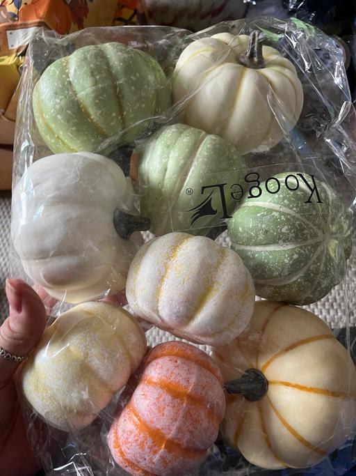 Buy & Sell Wednesfield Wolverhampton - Photos for Decorative pumpkins display new in box