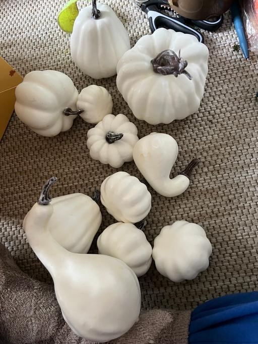 Buy & Sell Wednesfield Wolverhampton - Photos for New in box decoration pumpkins display