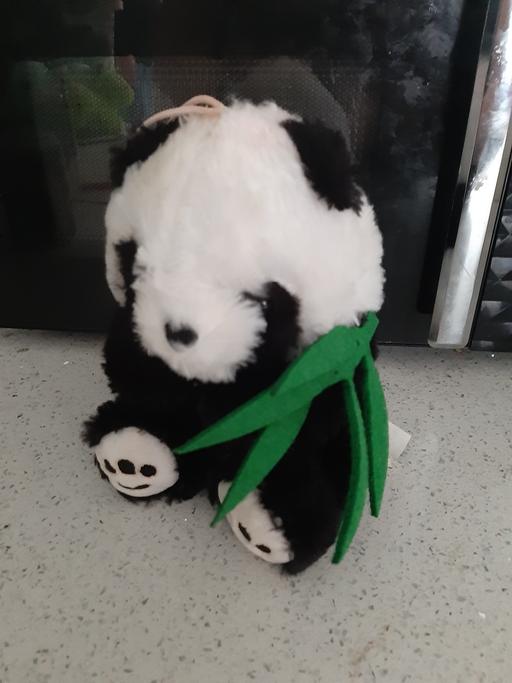 Buy & Sell South Hylton Sunderland - Photos for panda