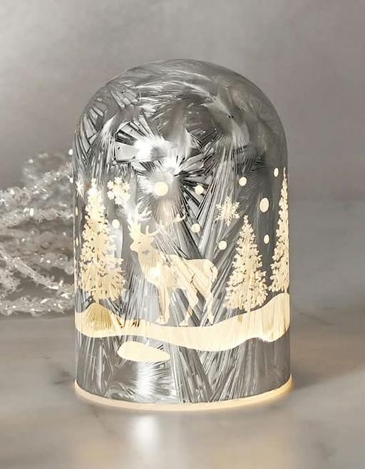 Buy & Sell Sidcup Bexley - Photos for Reindeer Scene Glass LED Dome Light
