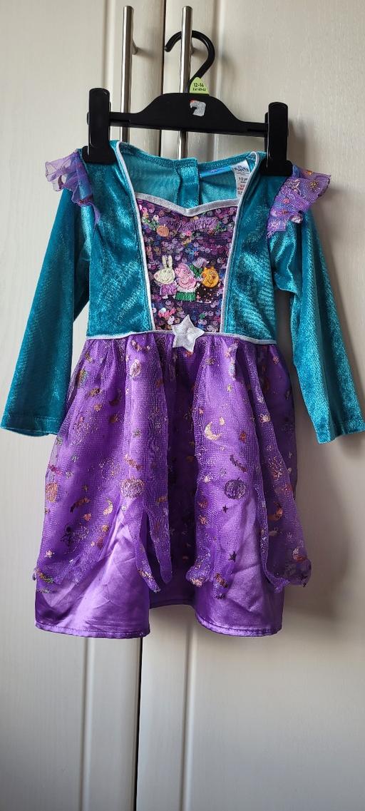 Buy & Sell Great Houghton Barnsley - Photos for Peppa pig Halloween fancy dress costume