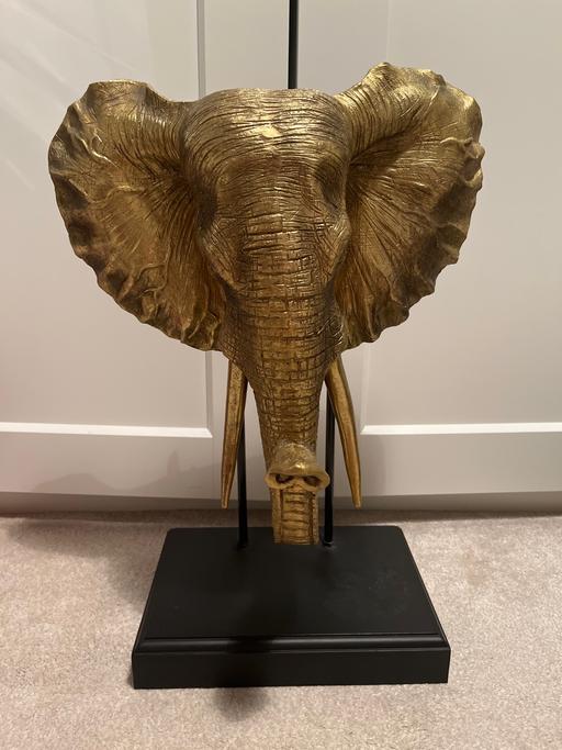 Buy & Sell Euxton Chorley - Photos for Elephant Head