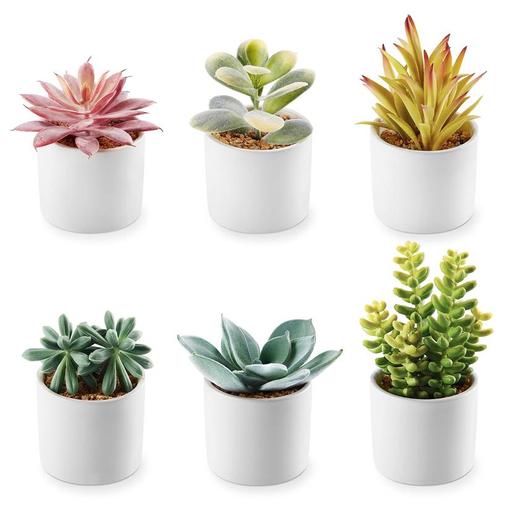 Buy & Sell Mickleover Derby - Photos for Artificial Succulent Plants 6 Set