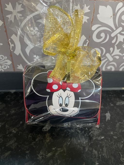 Buy & Sell Bordesley Green Birmingham - Photos for Minnie Mouse bag