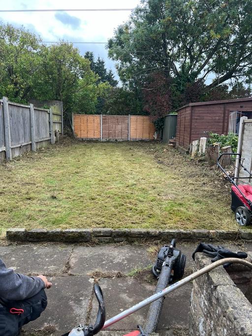 Buy & Sell Sparkhill Birmingham - Photos for Tree cutting and removal and hedges cutting