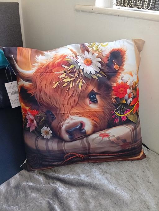 Buy & Sell Parkgate Rotherham - Photos for cushion 