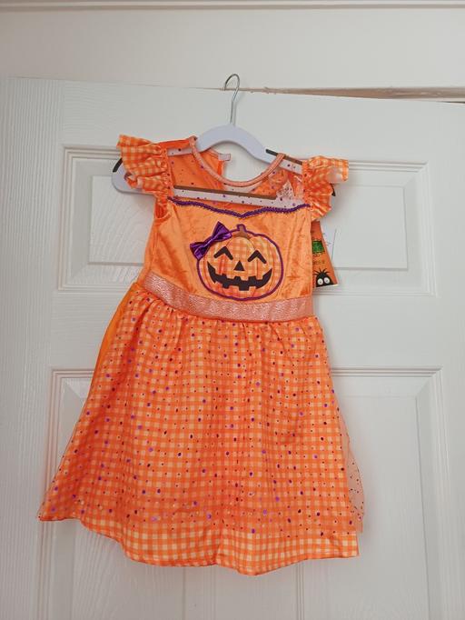 Buy & Sell Wickersley Rotherham - Photos for pumpkin dress