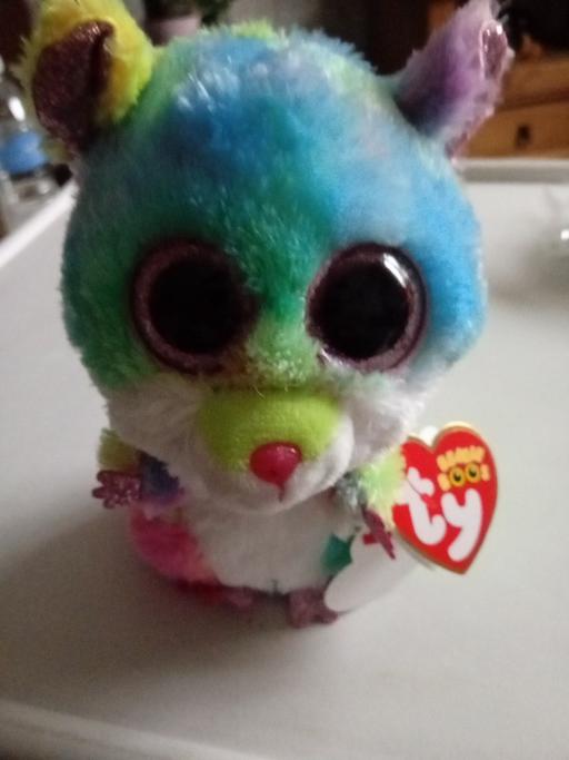 Buy & Sell Horncastle East Lindsey - Photos for Ty Rodney beanie boos character