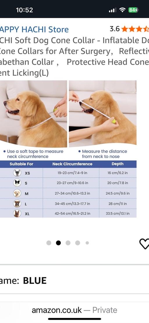 Buy & Sell Wednesfield Wolverhampton - Photos for New dog medium buster collar size on pic