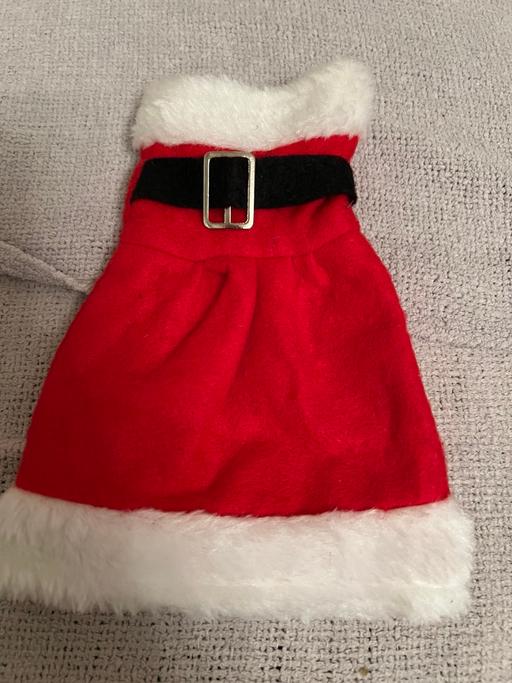 Buy & Sell Easington Lane Sunderland - Photos for Wine Bottle Dress ( New )
