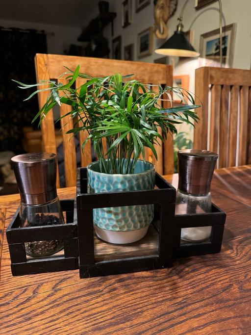 Buy & Sell Hockliffe Central Bedfordshire - Photos for Versatile Plant holder/Table centre piece