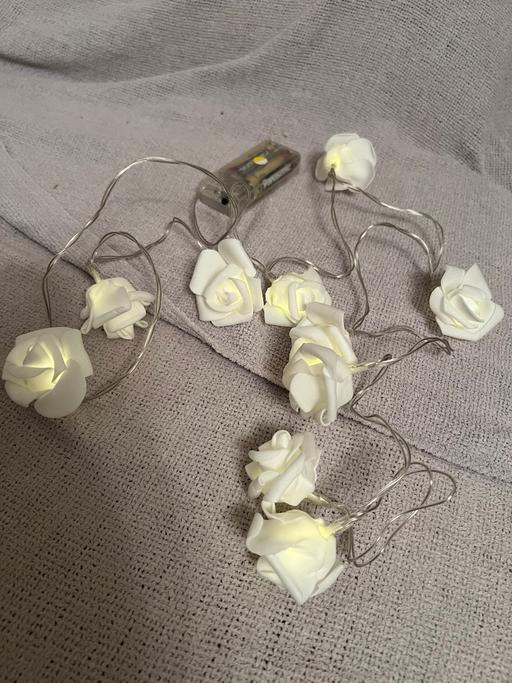 Buy & Sell Easington Lane Sunderland - Photos for Roses Fairy Lights