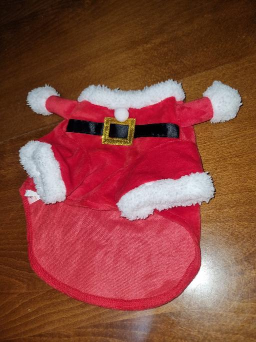 Buy & Sell Bournville Birmingham - Photos for Tiny Dog Christmas Outfit