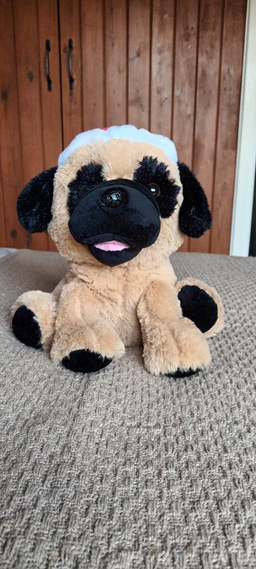 Buy & Sell Saint Martins County of Herefordshire - Photos for Naughty Puppy Musical Soft Toy