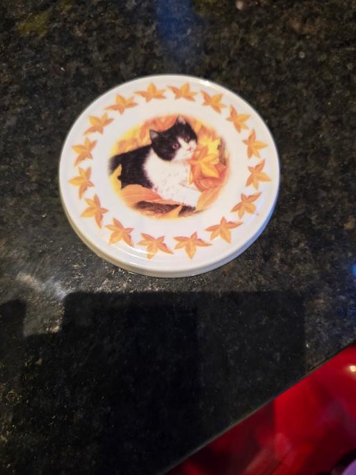 Buy & Sell Rowley Regis Sandwell - Photos for Ceramic Cat coaster