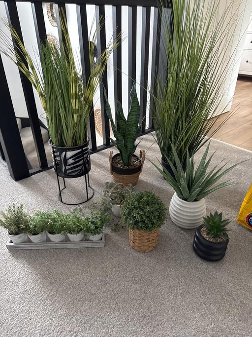 Buy & Sell Hoobrook Wyre Forest - Photos for Large artificial plant decoration. 🌿