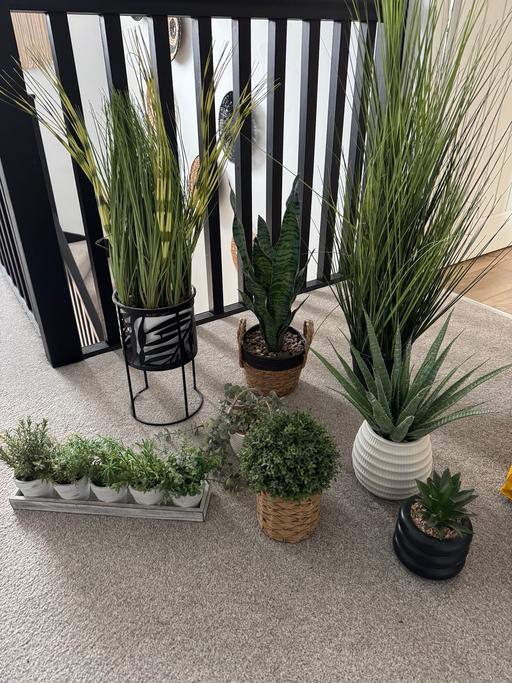Buy & Sell Hoobrook Wyre Forest - Photos for Artificial plant bundle