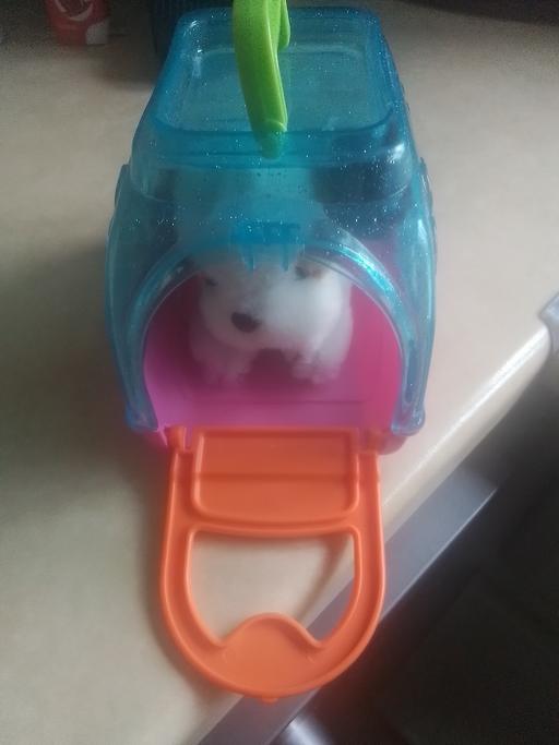 Buy & Sell Streetly Walsall - Photos for DOGGY IN CARRY CASE