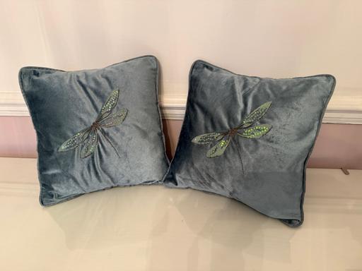 Buy & Sell Darlaston Walsall - Photos for Small Dragonfly Cushions Teal