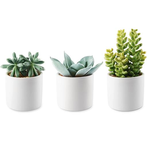 Buy & Sell Mickleover Derby - Photos for Artifloral Artificial Succulent Plants Set