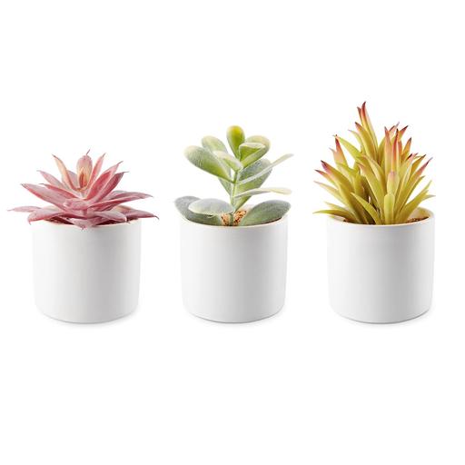 Buy & Sell Mickleover Derby - Photos for Artificial Succulent Plants Set & Ceramic Pot
