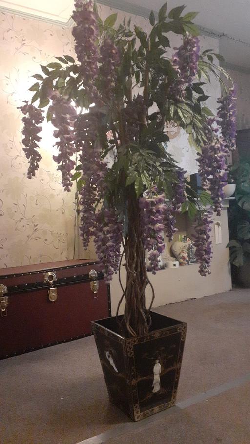 Buy & Sell Noak Hill Havering - Photos for Artifical Wisteria plant ,Mother of Pearl pot