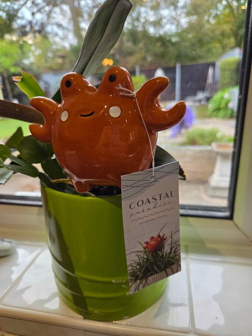 Buy & Sell Woodchurch Thanet - Photos for PLANT POT ORNAMENTS