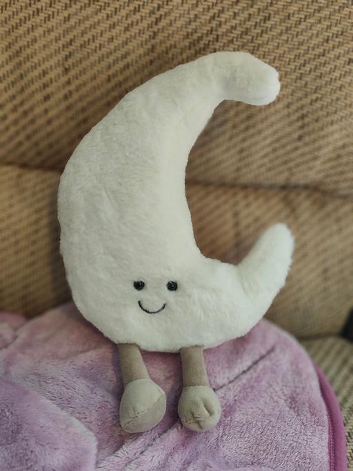 Buy & Sell Penrallt Gwynedd - Photos for MOON PLUSHIE
