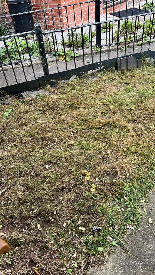 Buy & Sell Hall Green Birmingham - Photos for Tree surgeons and hedges and grass service