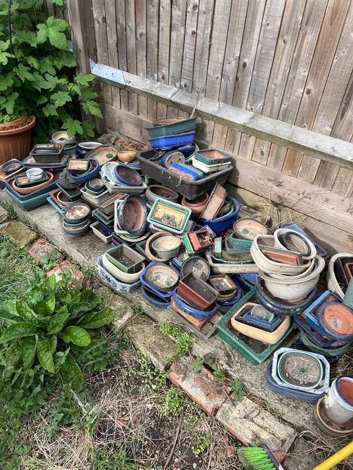 Buy & Sell Southend South East London - Photos for Bonsai pots. Varies sizes
